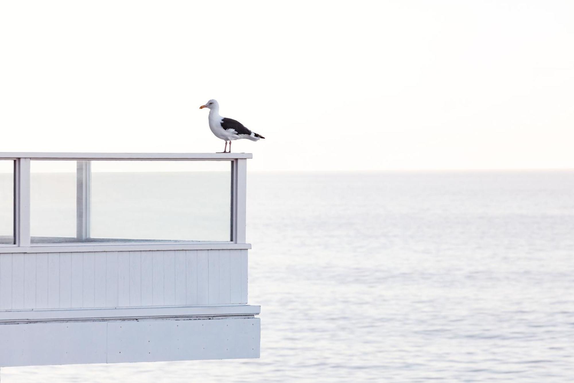 Pacific Edge Hotel Лагуна Бийч Екстериор снимка